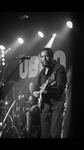 UB40 tribute band hire festival